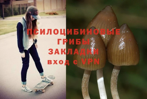 ГАЛЛЮЦИНОГЕННЫЕ ГРИБЫ Навашино