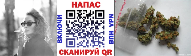 Бошки Шишки OG Kush Нолинск